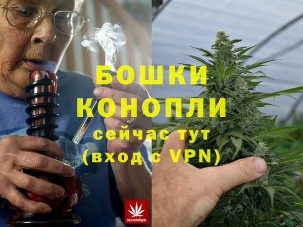 ГАЛЛЮЦИНОГЕННЫЕ ГРИБЫ Семёнов