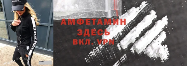 ГАЛЛЮЦИНОГЕННЫЕ ГРИБЫ Семёнов