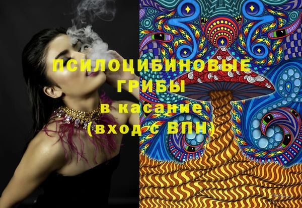 МДПВ Алексеевка
